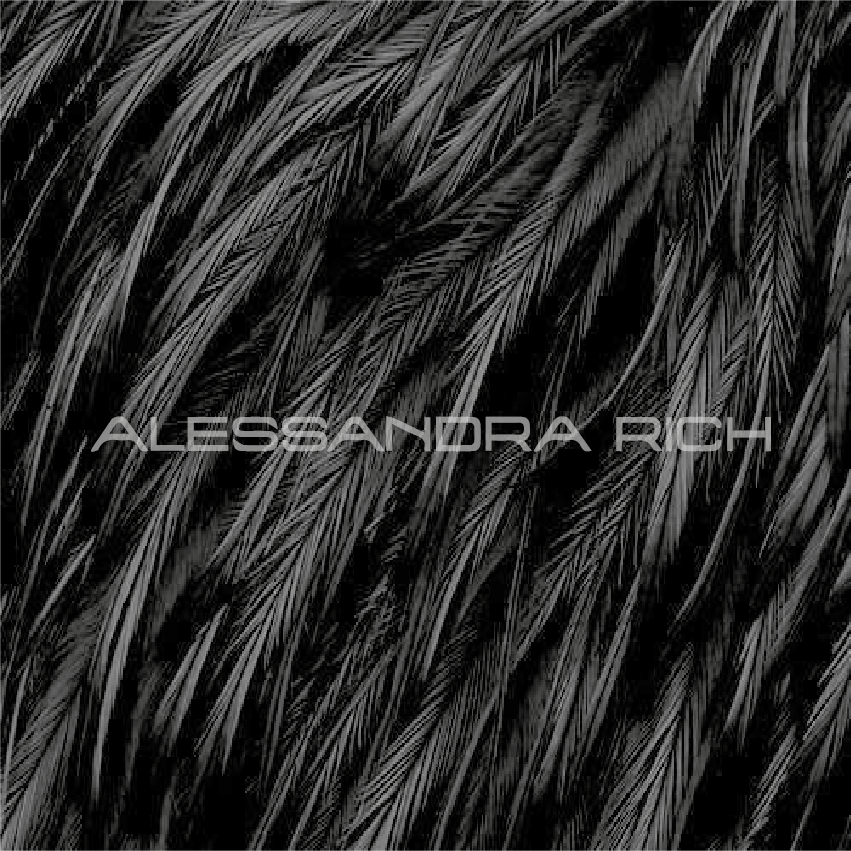 Alessandra Rich