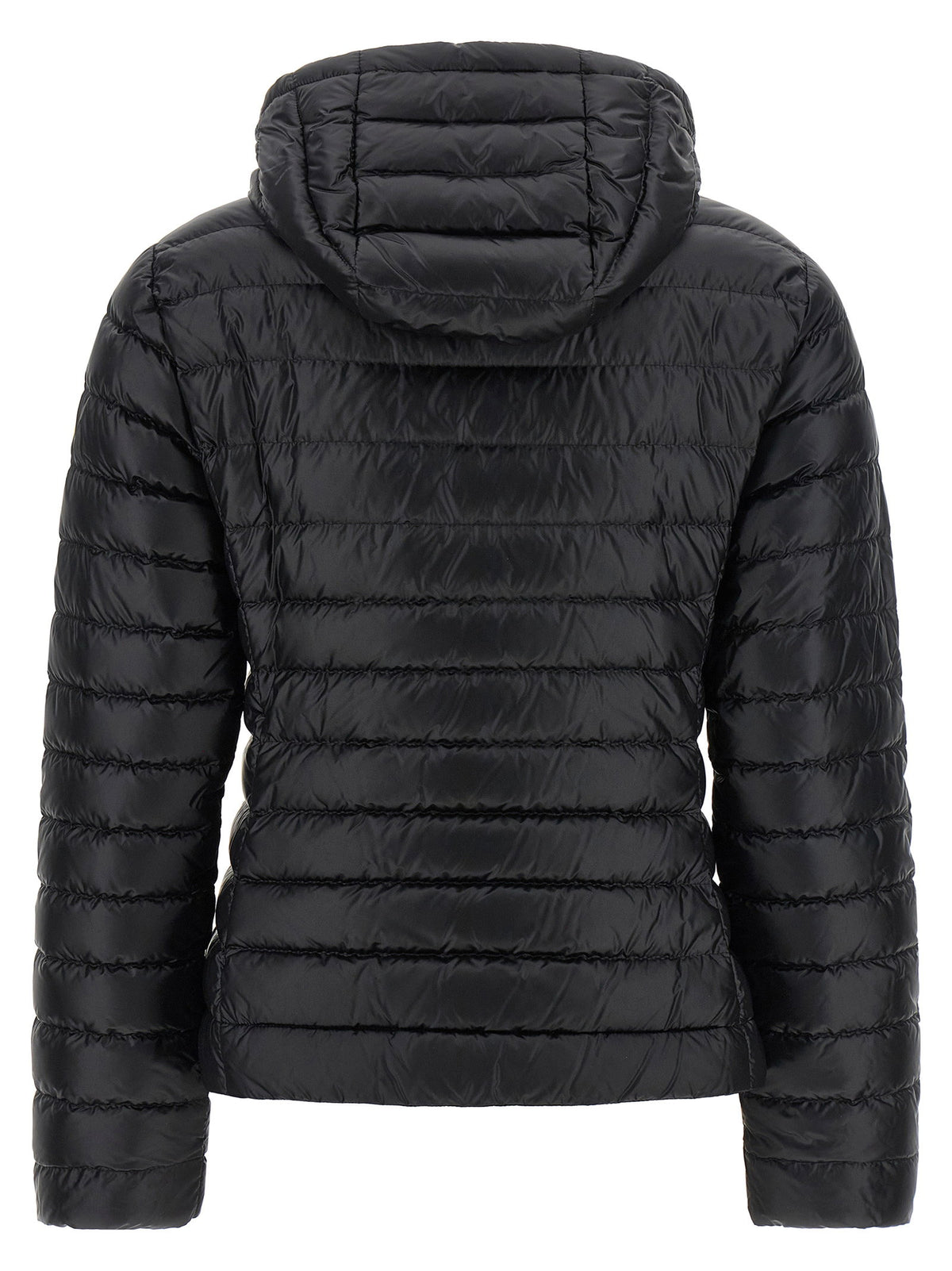 Moncler Igelhood Down Jacket